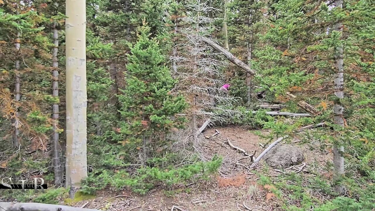Slutty Hotwife Polyjswitch Finds Some Big Wood in the Forest