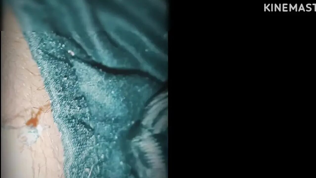 Desi bhabhi ne blowjob devar diya ko xxx