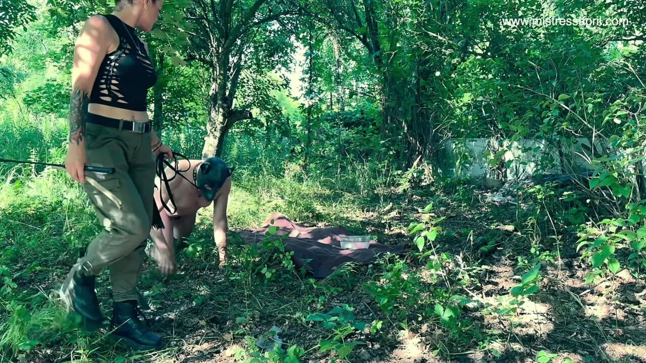 Dog Bruno Goes For Walkies Compilation Trailer