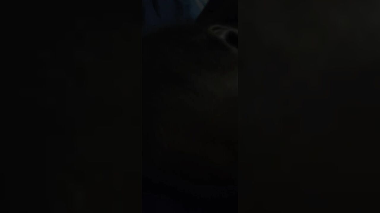 Soul Sucking Bobblehead Part 2