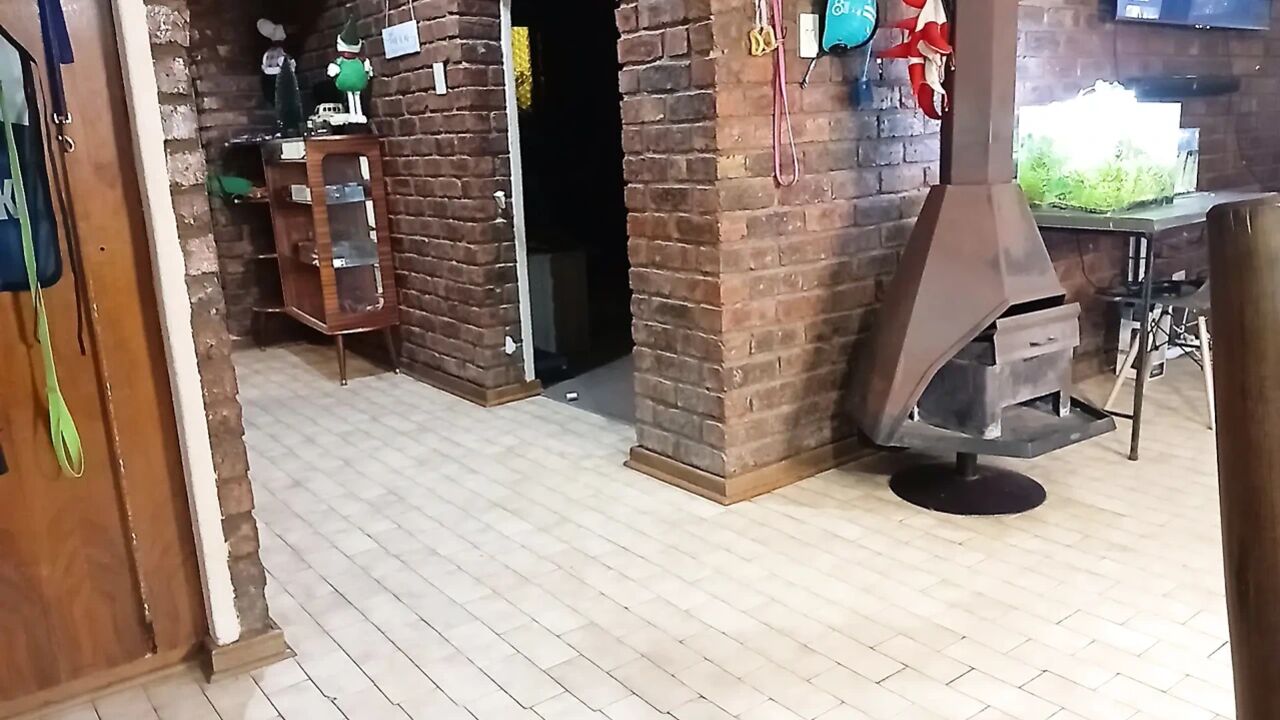 Caught My Husband Cheating with a Cheap Prostitute