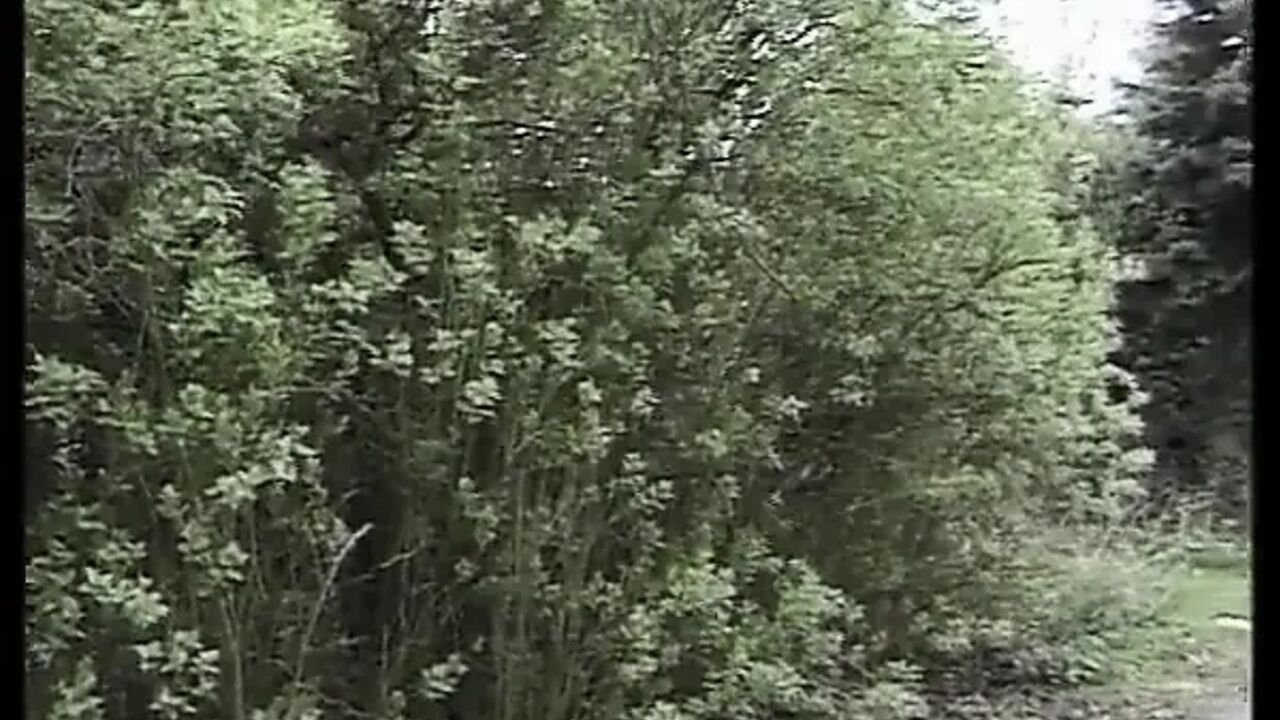 Teen From Germany Pounded by Older Dude in Her Tight Pussy