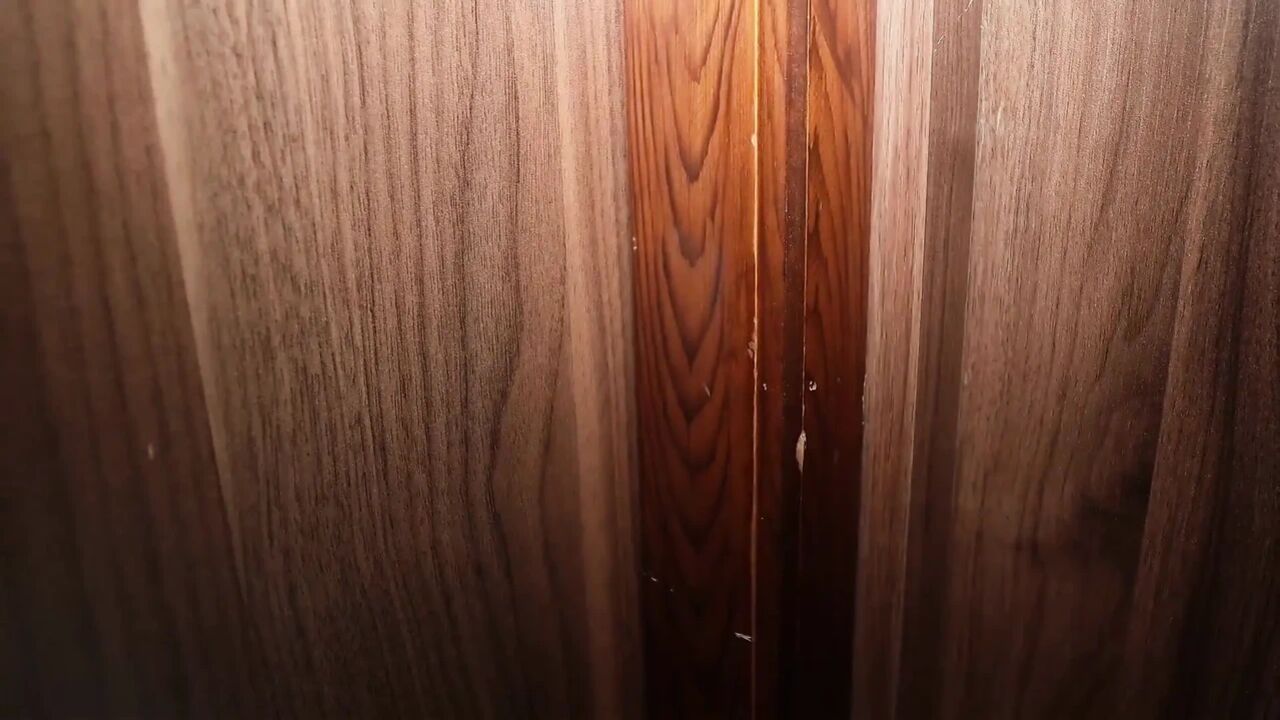 I Fuck My Sister-in-law in the Middle of the Night Without My Stepbrother Noticing