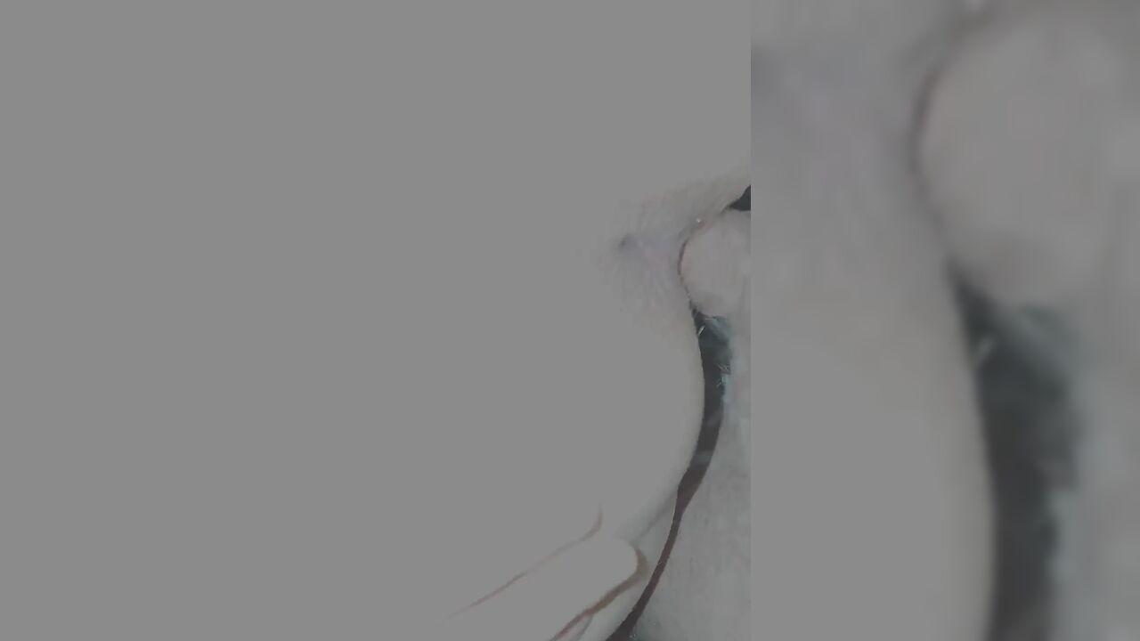 Anal and Pussy