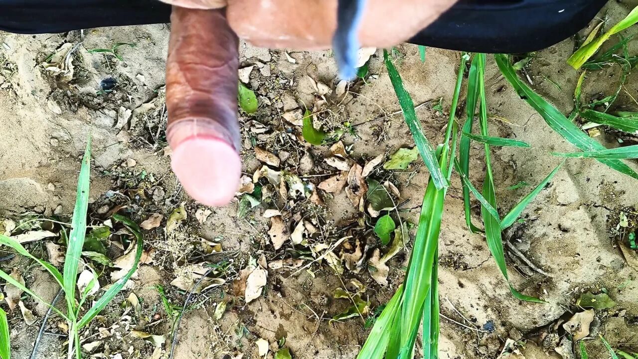 Bhabhi Ji Ne devar ji ka land munh mein liya desi khet mein chudai