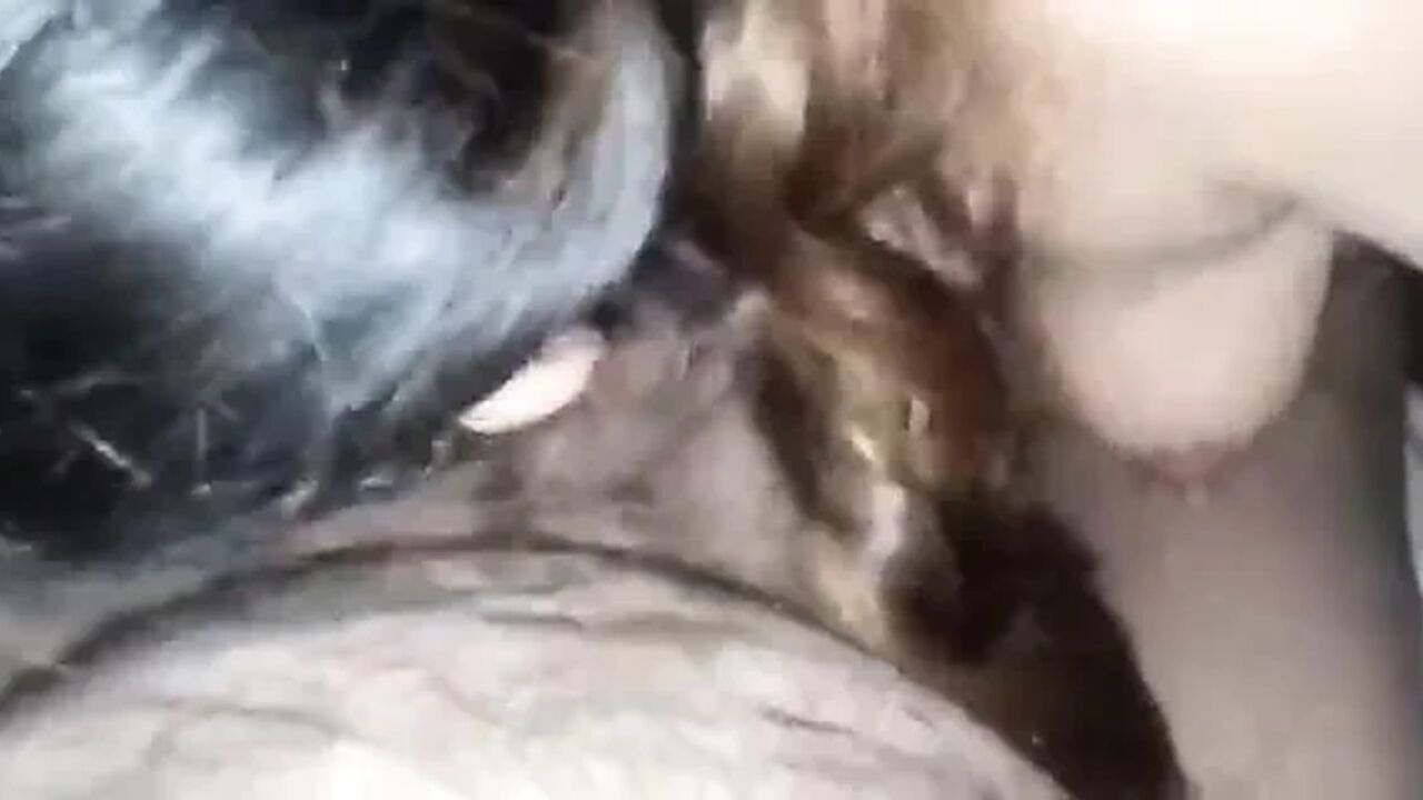 Blowjob after long day