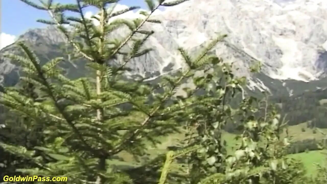 German couple fucks in front of the mountains