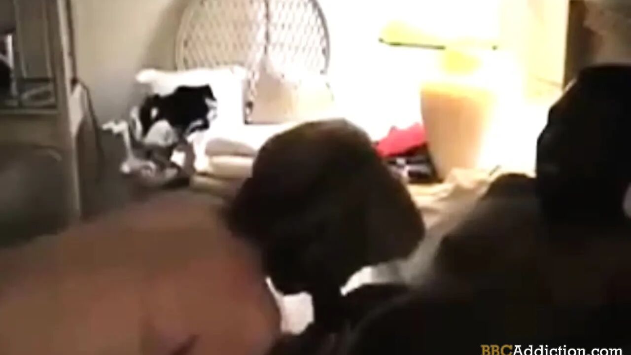 BBC Addiction - MY wife lovec big black cock
