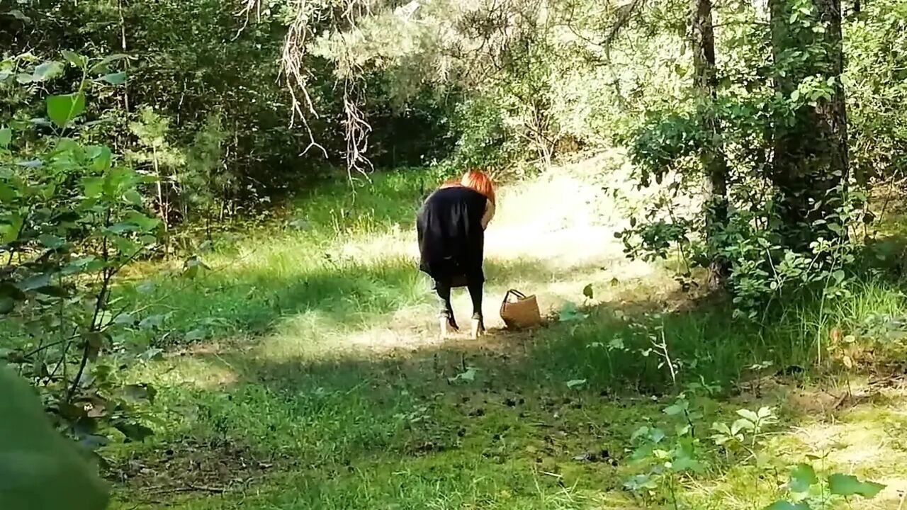 Caught a Red Fox in the Forest and Finished in His Mouth!