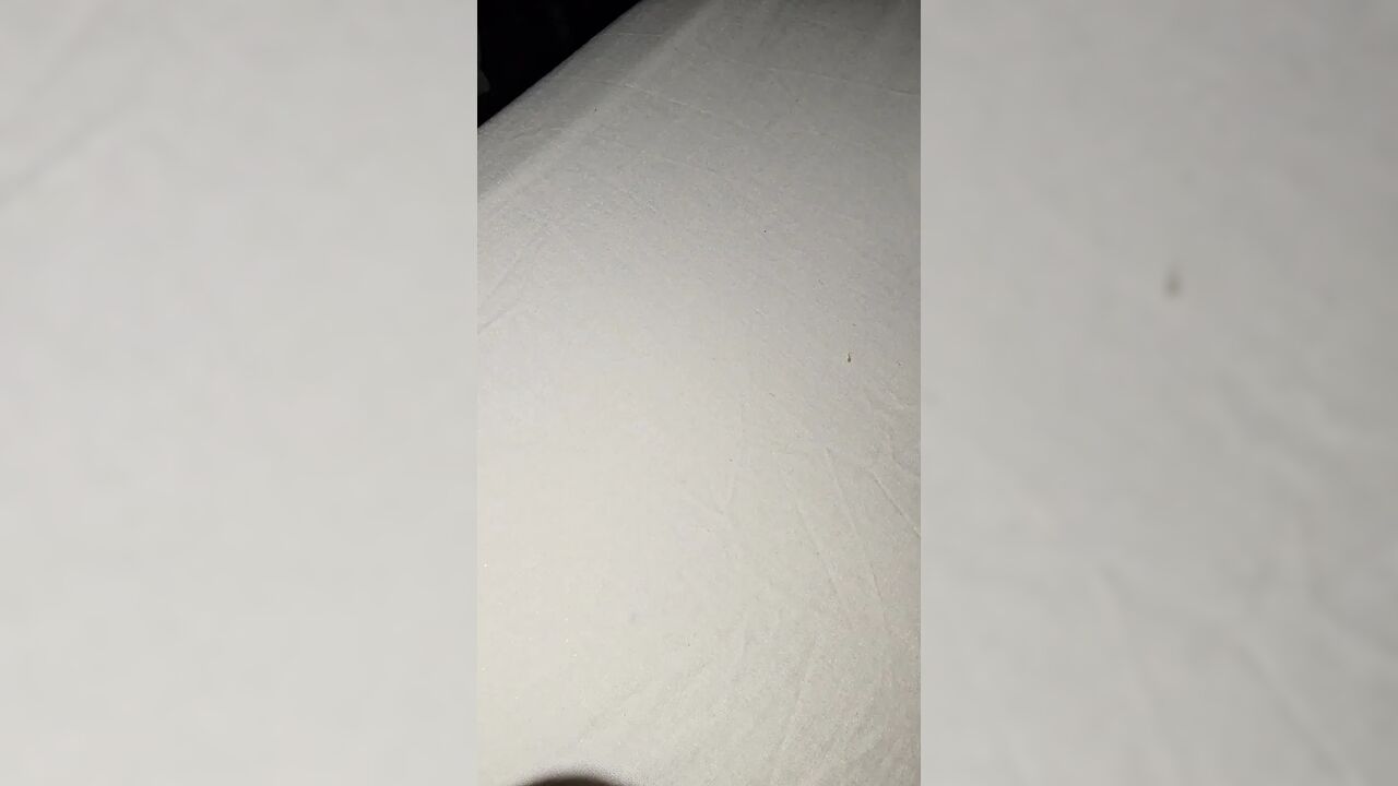 Step mom loves playing with step son big balls under blanket