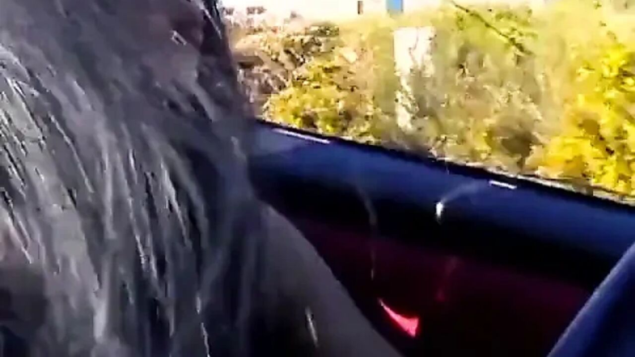 Hot Young Brunette Gives Hitchhiker a Special Ride