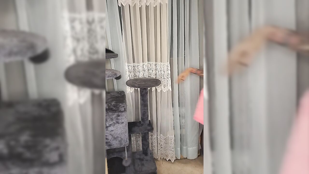 Stuck Shiloh : Cathouse Edition