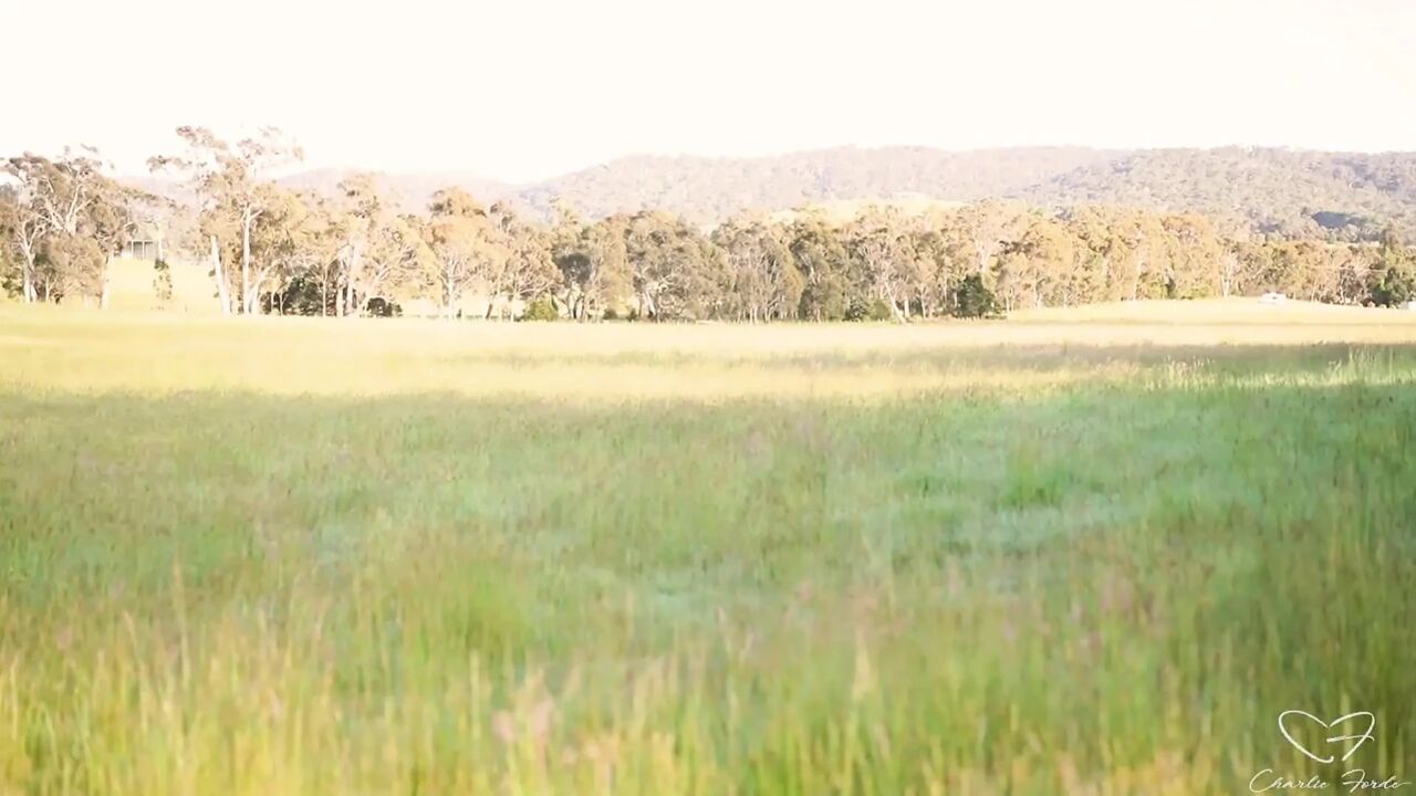 Homeward Bound Part 3: Stray Featuring Charlie Forde, Finley Kay, Caleb Arcane