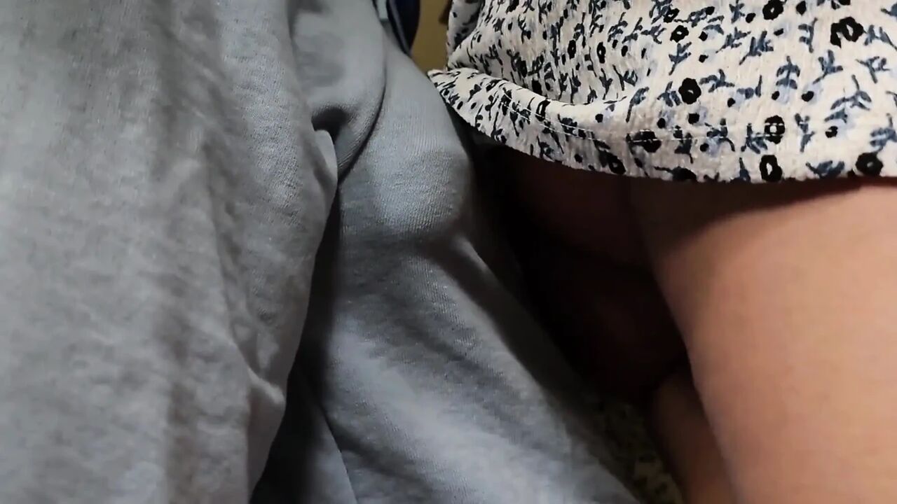 She Accidentally Touch Stranger's Dick Inside Train. He Slide His Penis Under Her Skirt and Cum