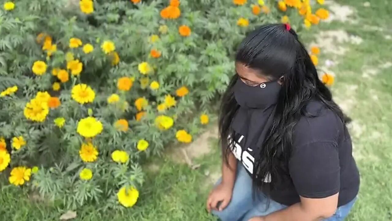 The helpless maid and the greedy country: Lack of money?