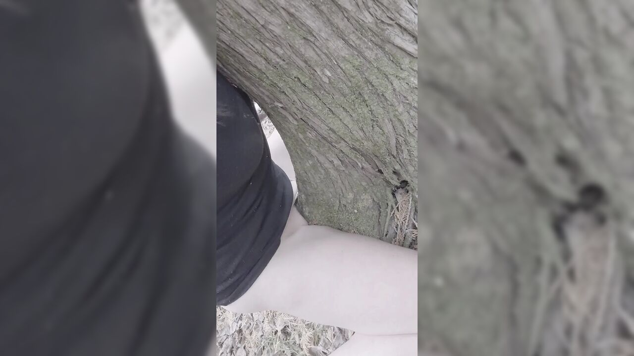 Humping the tree on my hike