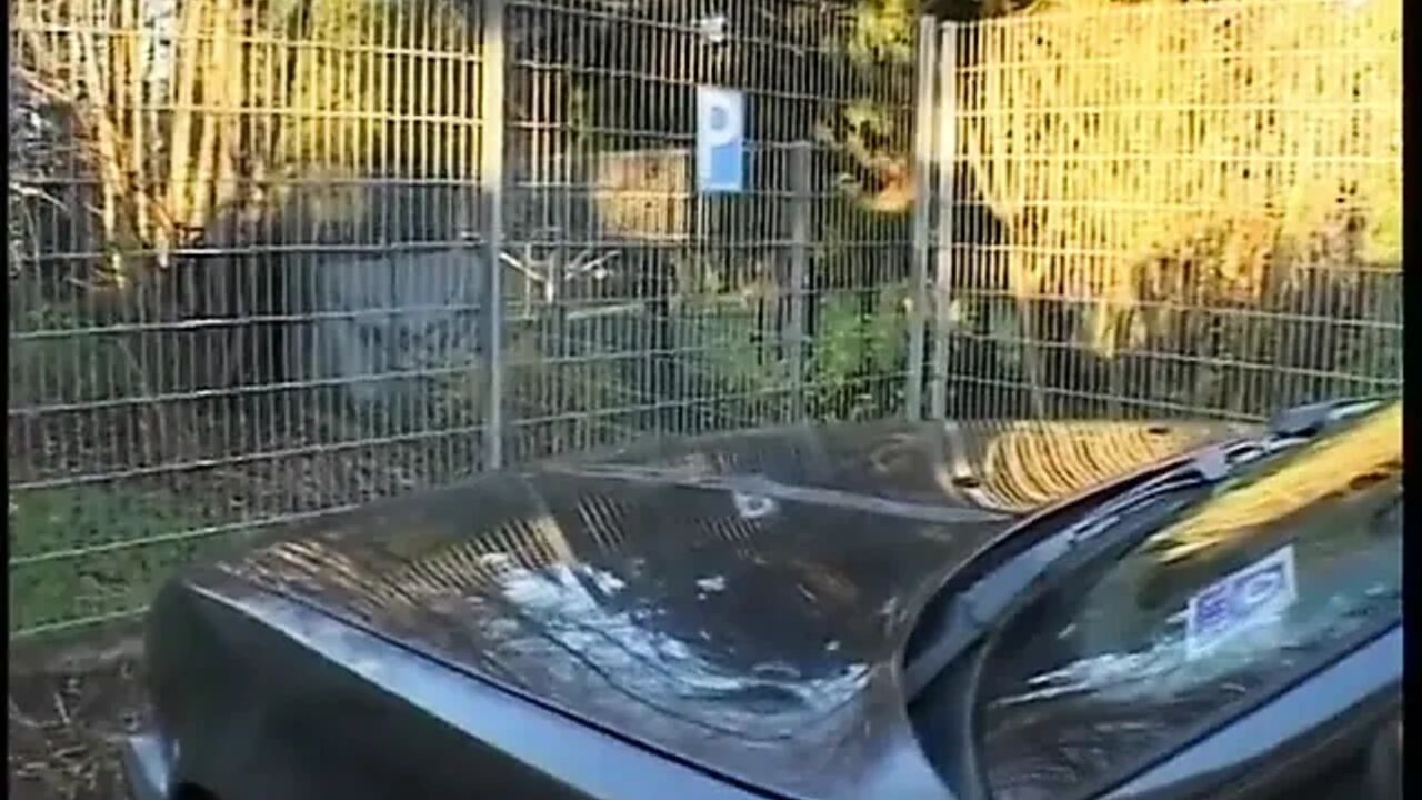 Blonde girl gets pussy torn apart by many different cocks