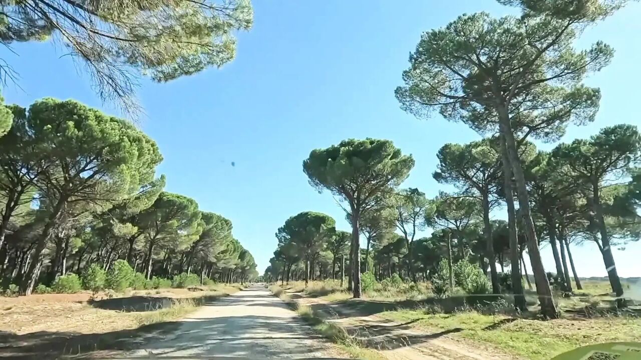 I Met a Woman in the Woods and Fucked Her Until I Cum in Her Mouth