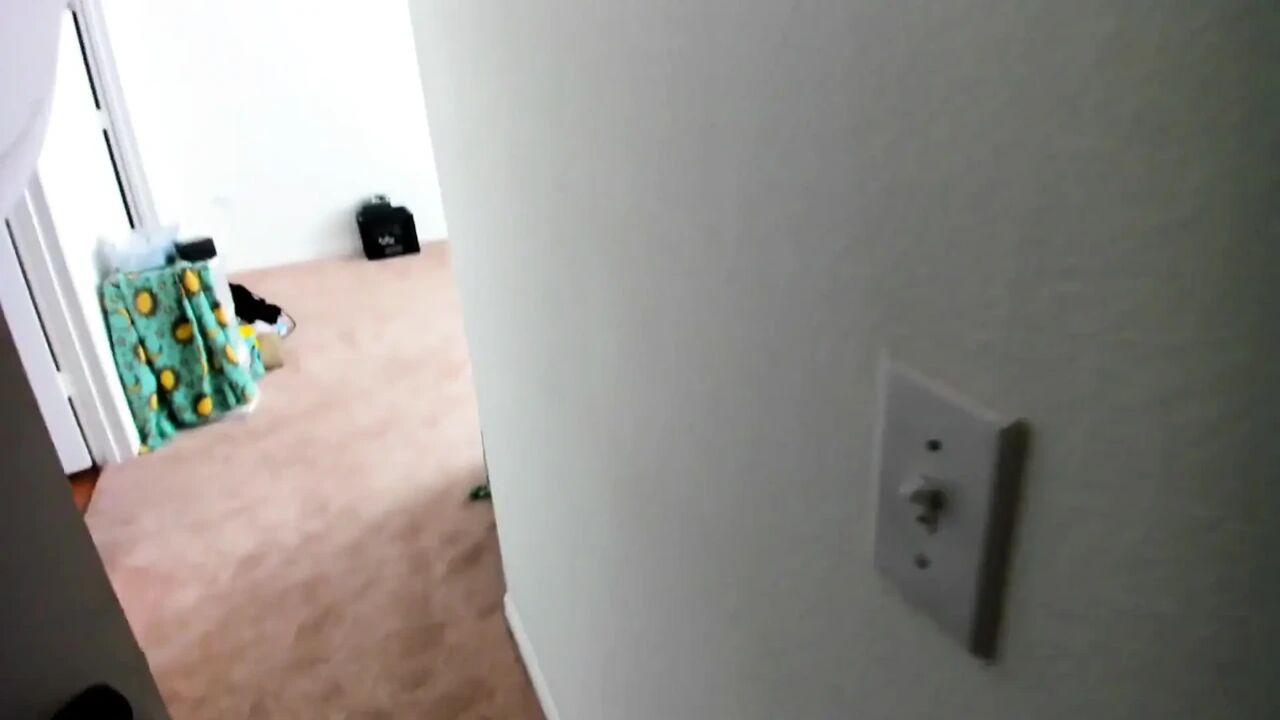 Anal for Rent Part Ii