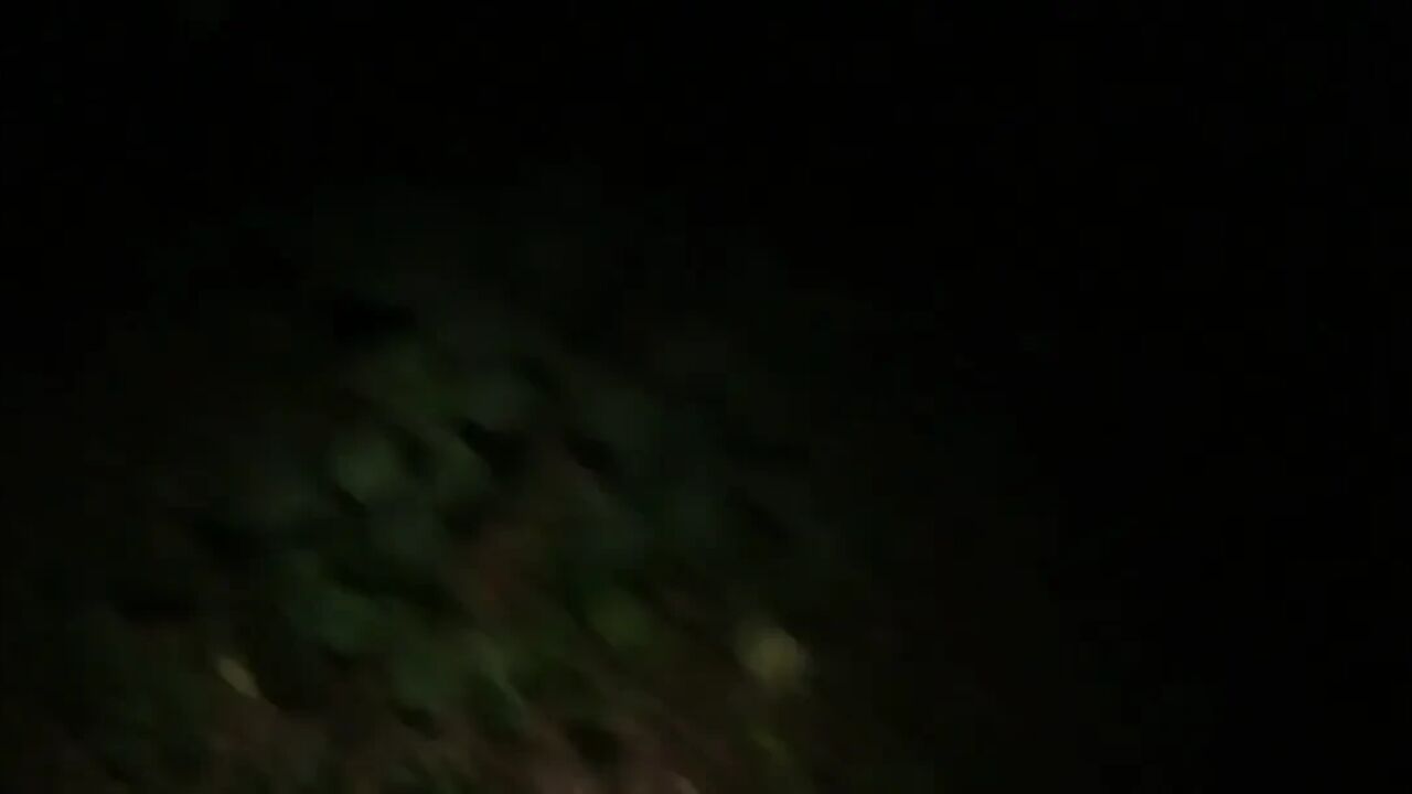Public Bukkake Whore in the Woods