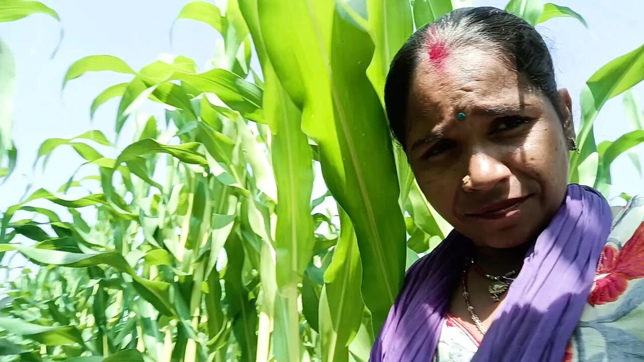Bhabhi Desi Couple Indian