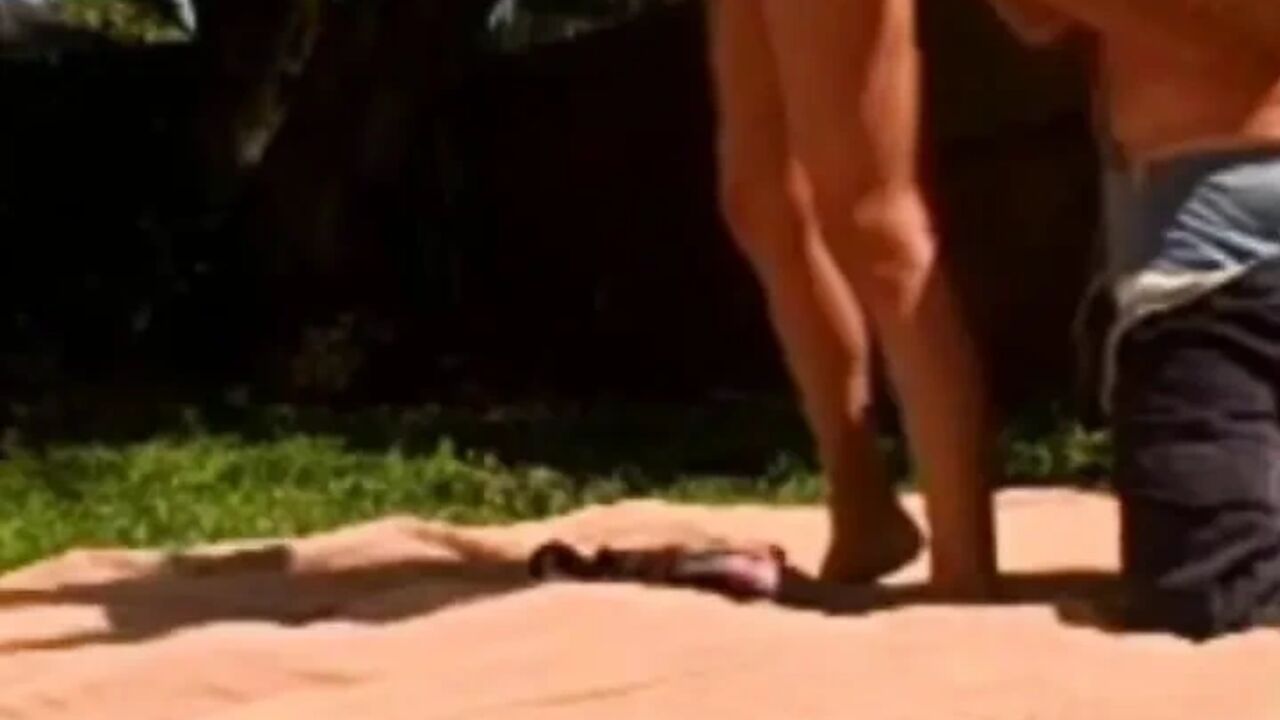 Brandon's Wild Outdoor Adventure