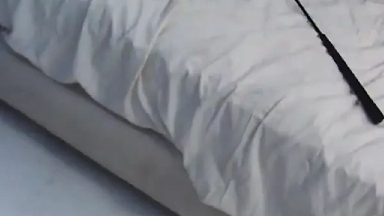 Two Naughty French Babes Smashed in Foursome