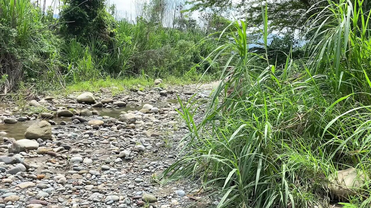 Lost in the woods I find a sexy Indian girl who was desperate for dick