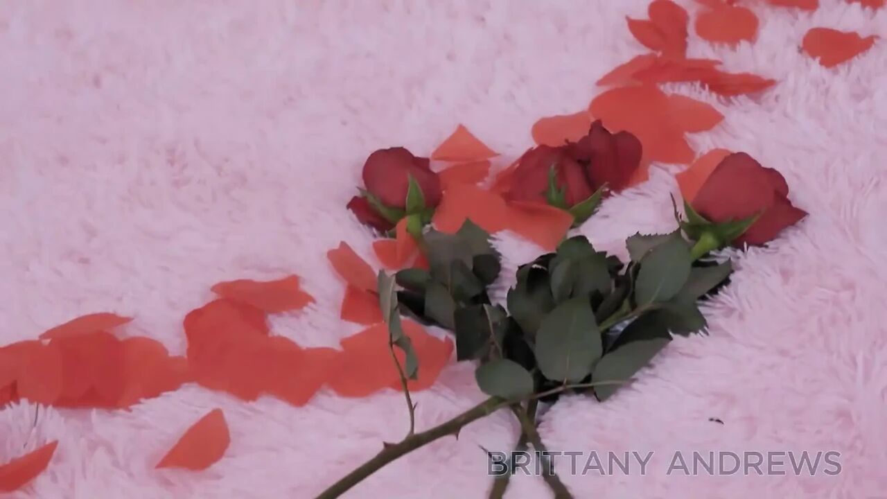 Brittany a Teaches How to Fuck Her Twat for Valentines Day!