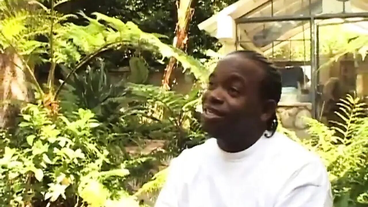 Big black cock huge black ass penetrated