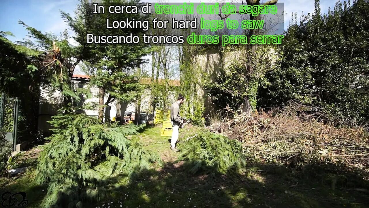 Looking for HARD TRUNKS to saw!(amateur sex in the woods)