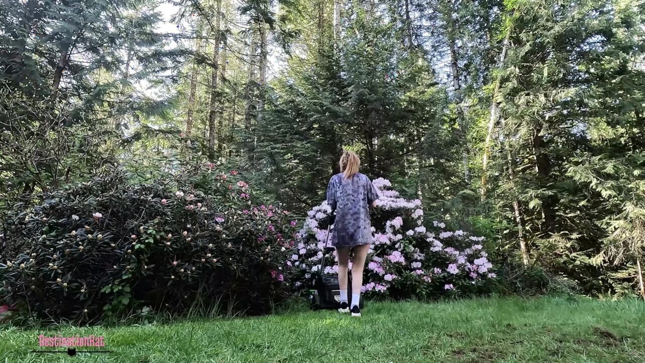 Fixing Up The Yard
