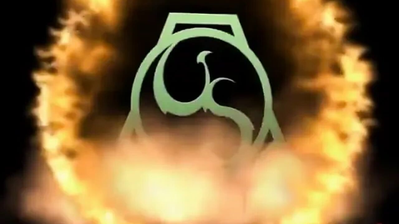 The Dragon (0-0) Vs. the Bomb (0-0)