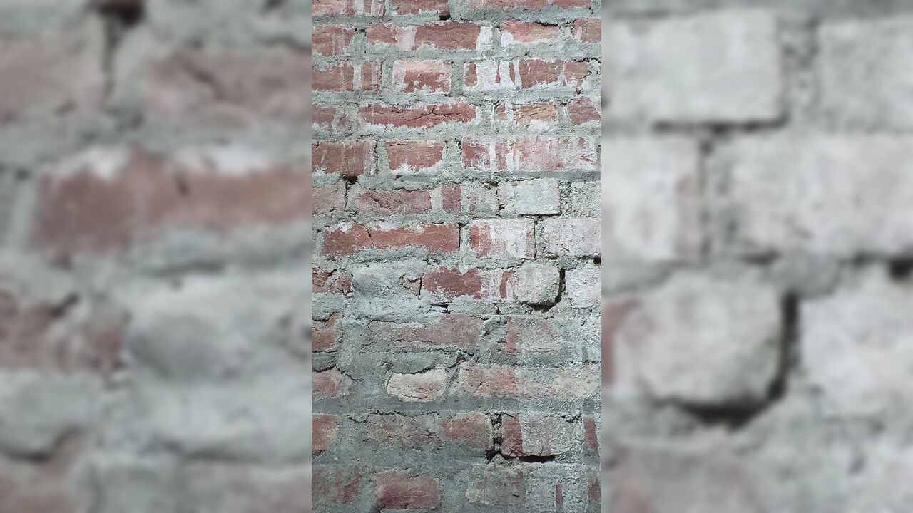 Sexy Video