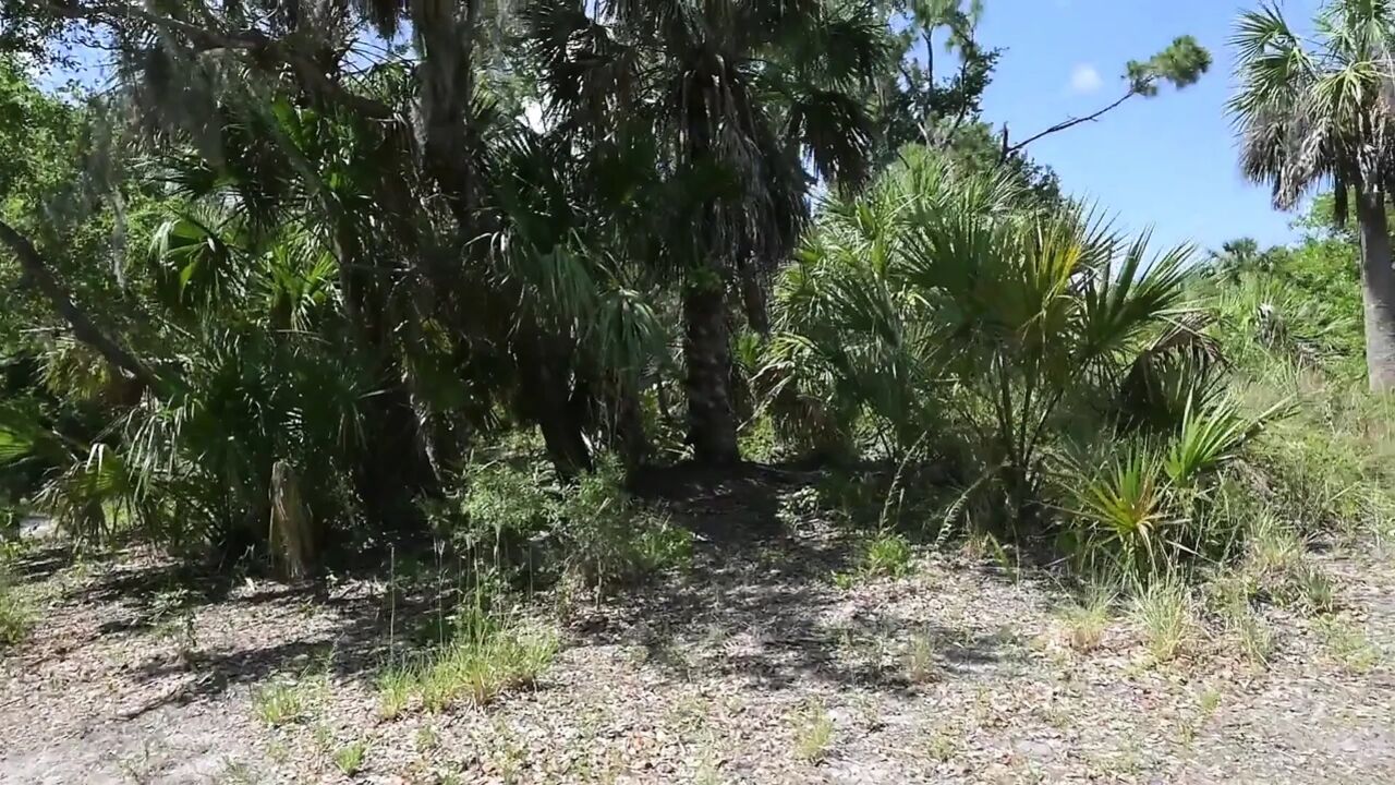 Full Day Video