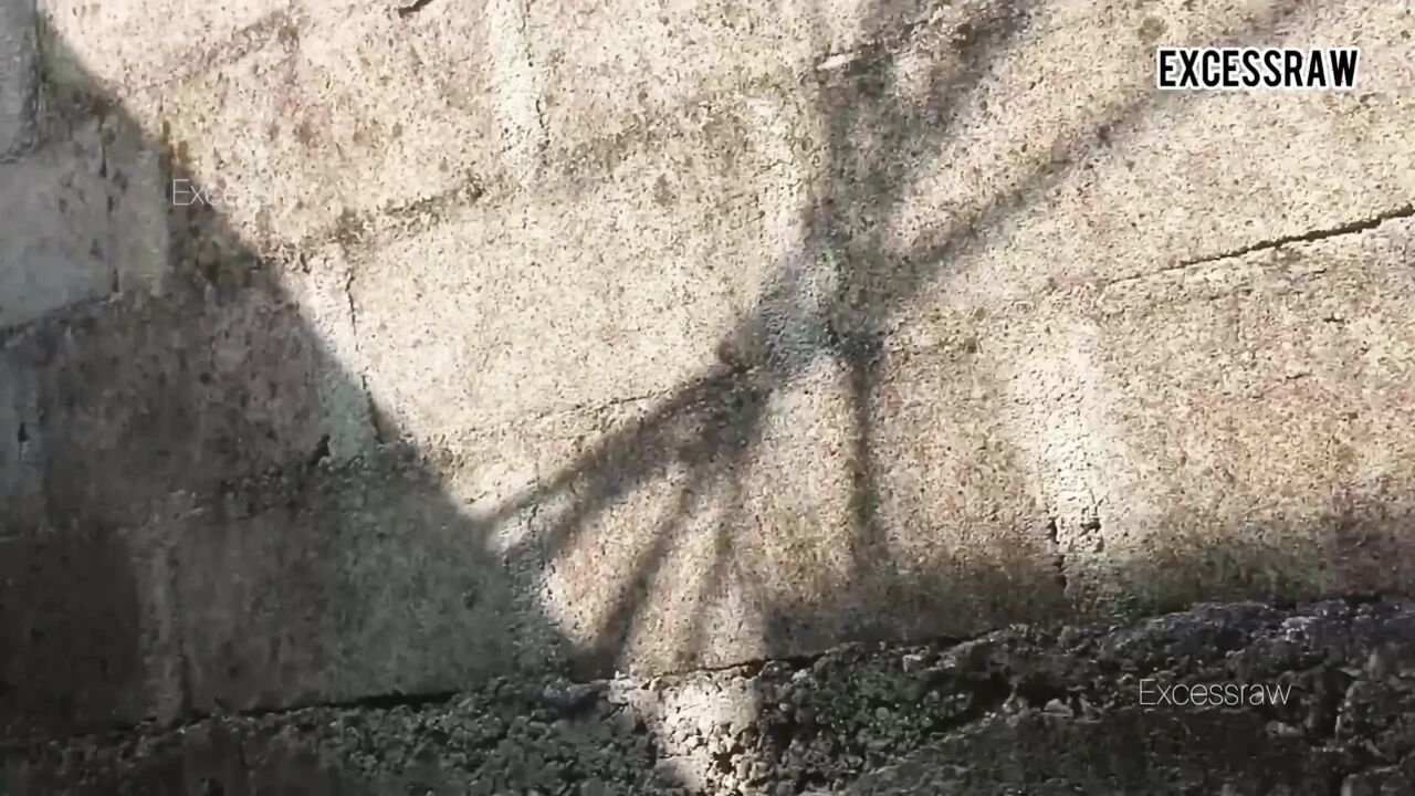 What an Epic Experience Fucking Inside Uncompleted Building
