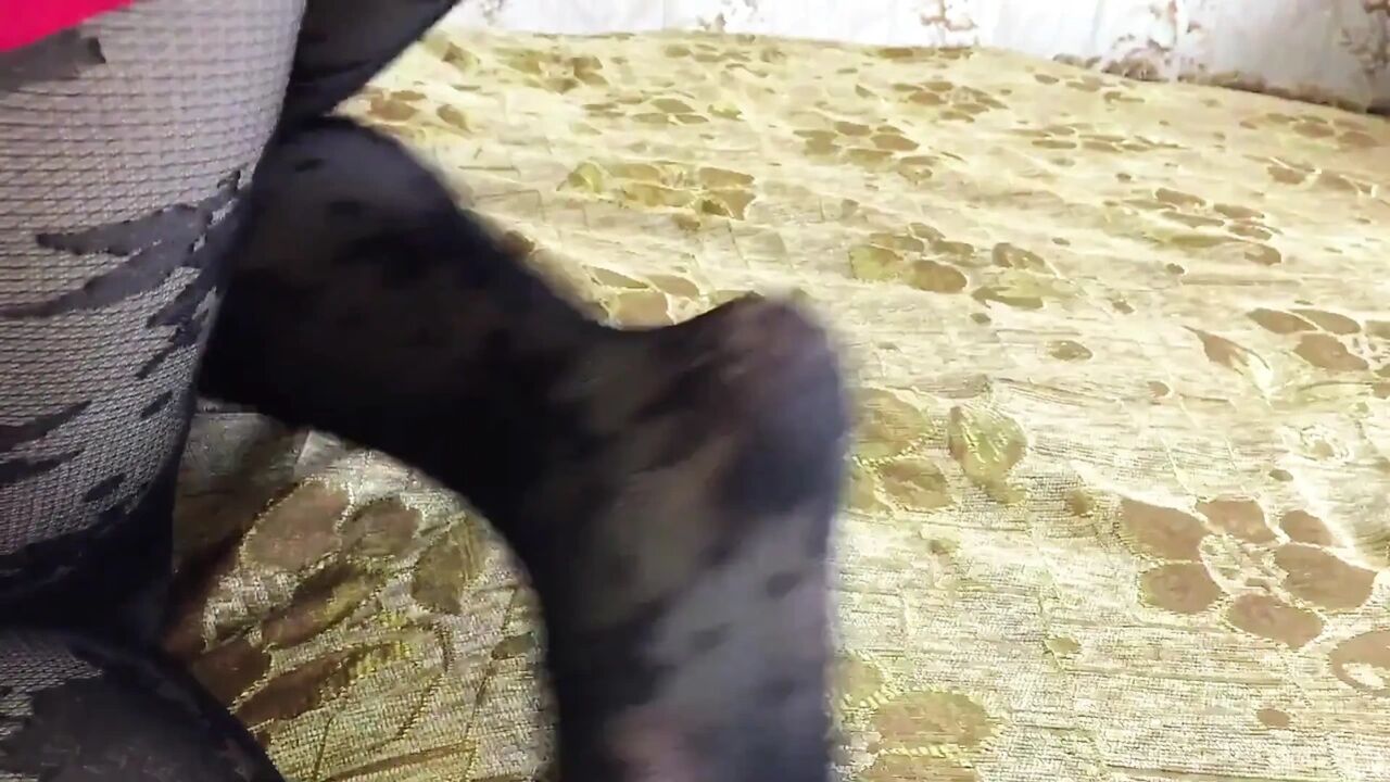 Big Ass Sweet Pussy and a Pantyhose