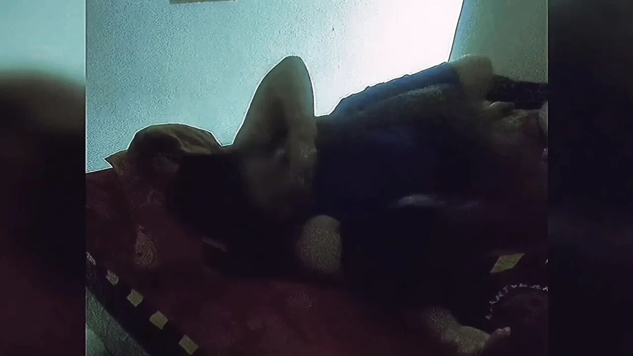 Keep licking and sucking your wifes nipples, baby. Your tongue is hard to swallow.