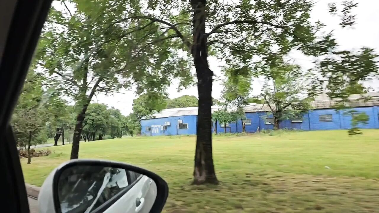 I Suck My Stepbrother's Big Dick in the Car