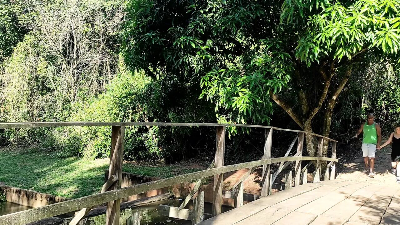 Fucking behind the trees in a park with a BBC