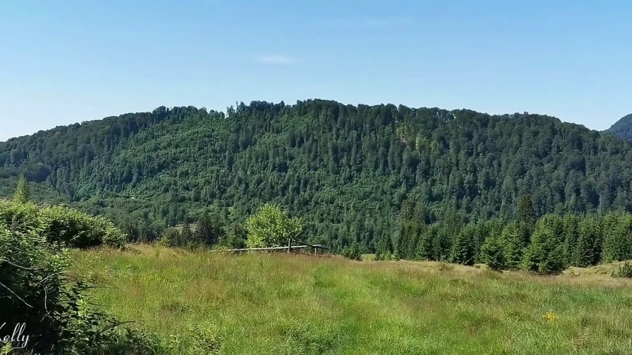 MILF Getting Horny and Masturbating Outdoor in the Mountains