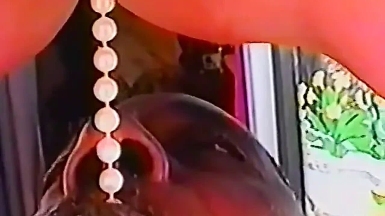 Amateur couple fuck in the living room