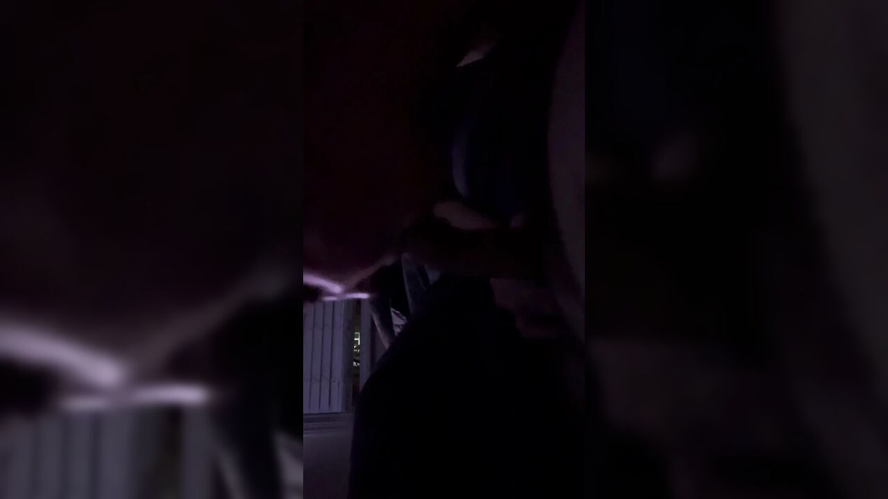 Kitten sucking cock