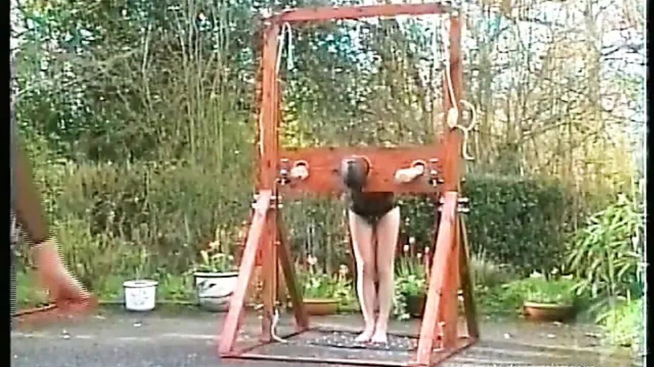 Prodomme Two