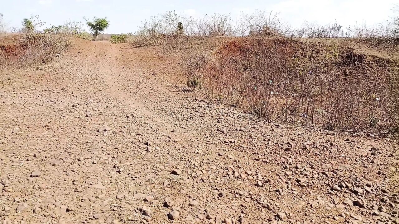 I took my sister-in-law to the jungle, I was on the edge of the jungle road, sister-in-law said go home and hit my ass, brother-in-law won't know.