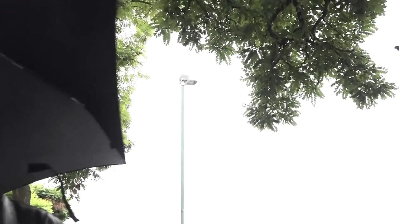 She want her cuckold lick off black bulls cum!