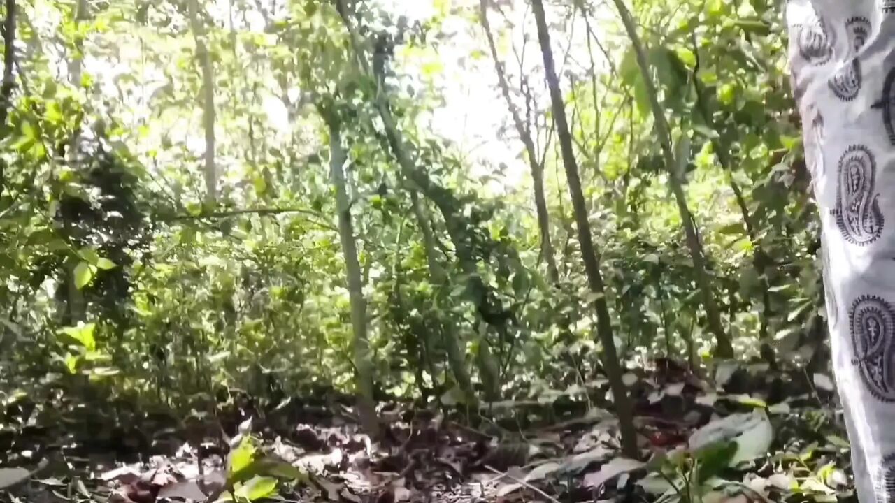 I went into the fucked jungle, had an affair, and nomita boudi