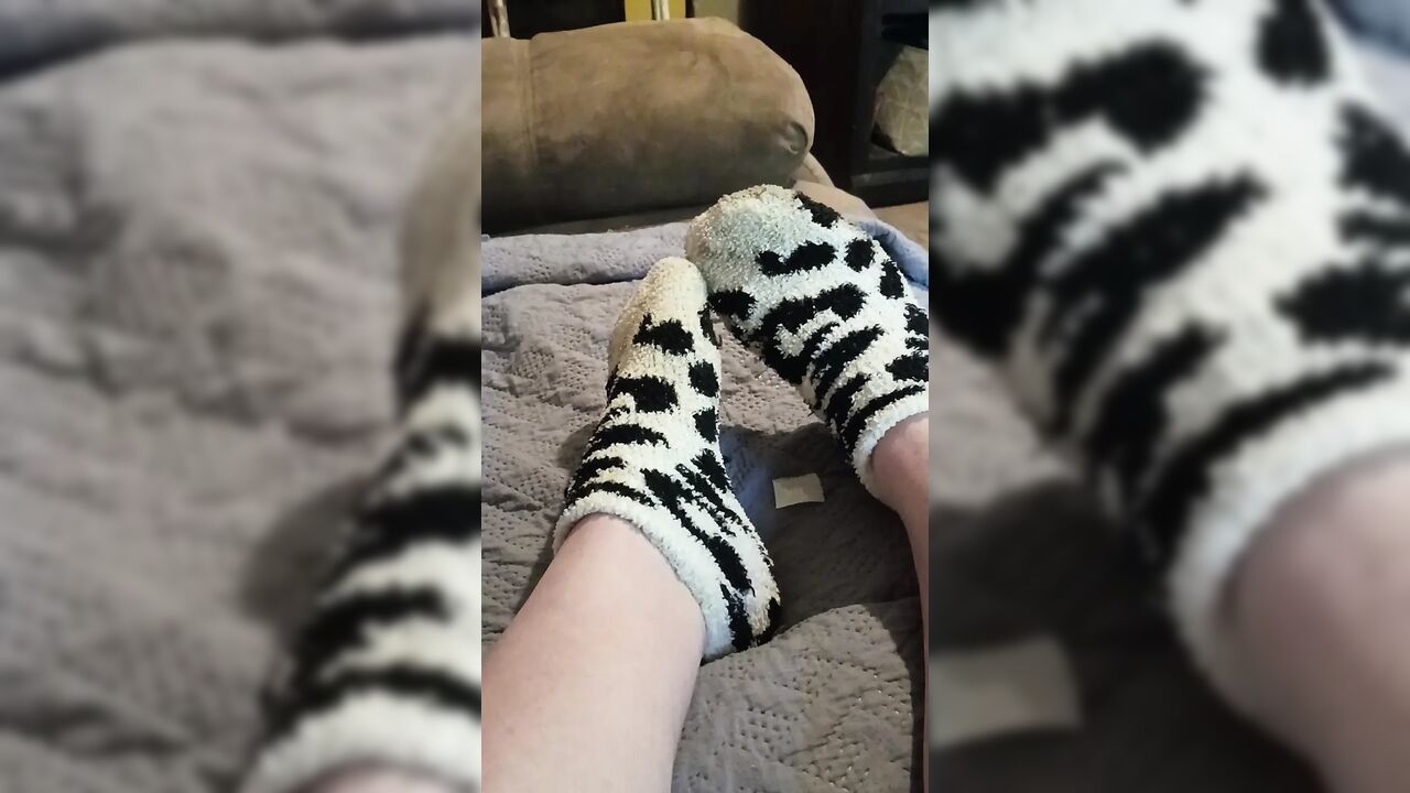 Quit stealing my socks jack