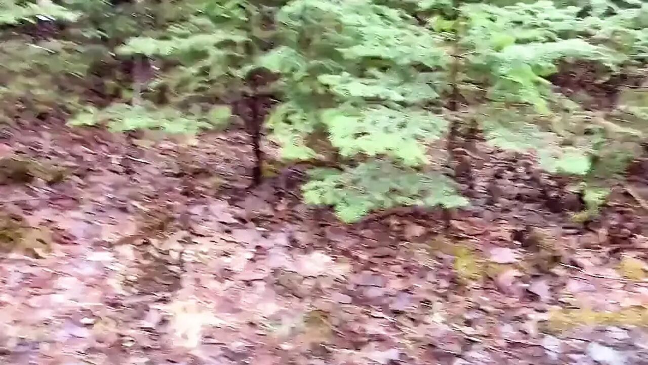 Pussy Pissing Water on the Rock
