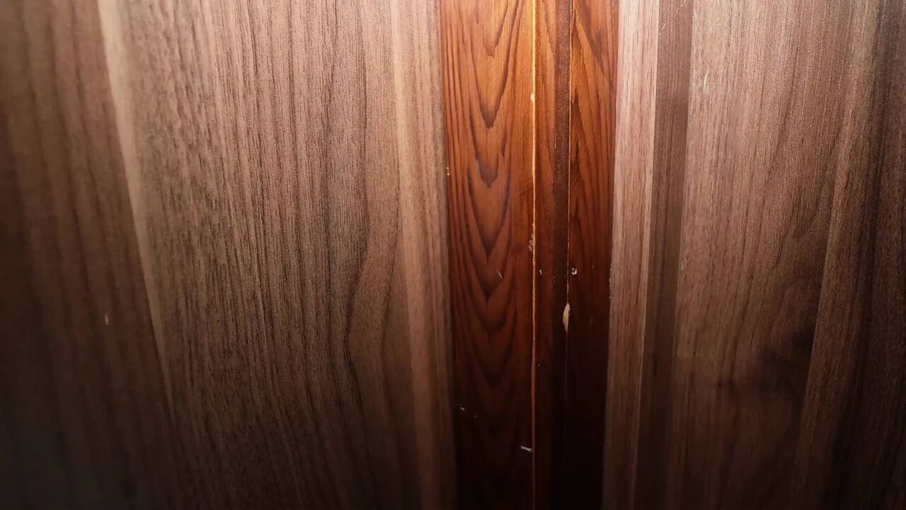 I Fuck My Sister-in-law in the Middle of the Night Without My Stepbrother Noticing
